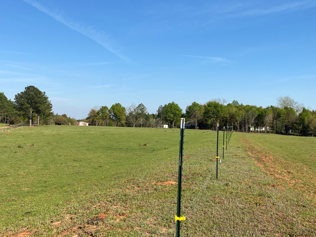 0 Co Road Abbeville, AL 36310 - Photo 14 of 53