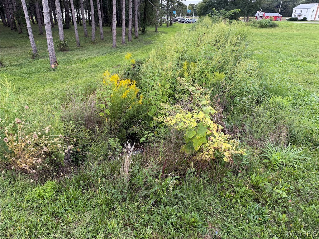 Milestrip Road North Collins, NY 14111 - Photo 12 of 13 Gallery Image 12