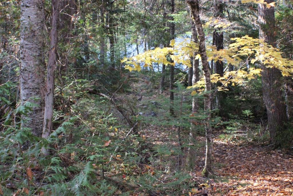 43 A Emery Road New Limerick, ME 04761 - Photo 7 of 35 Photo