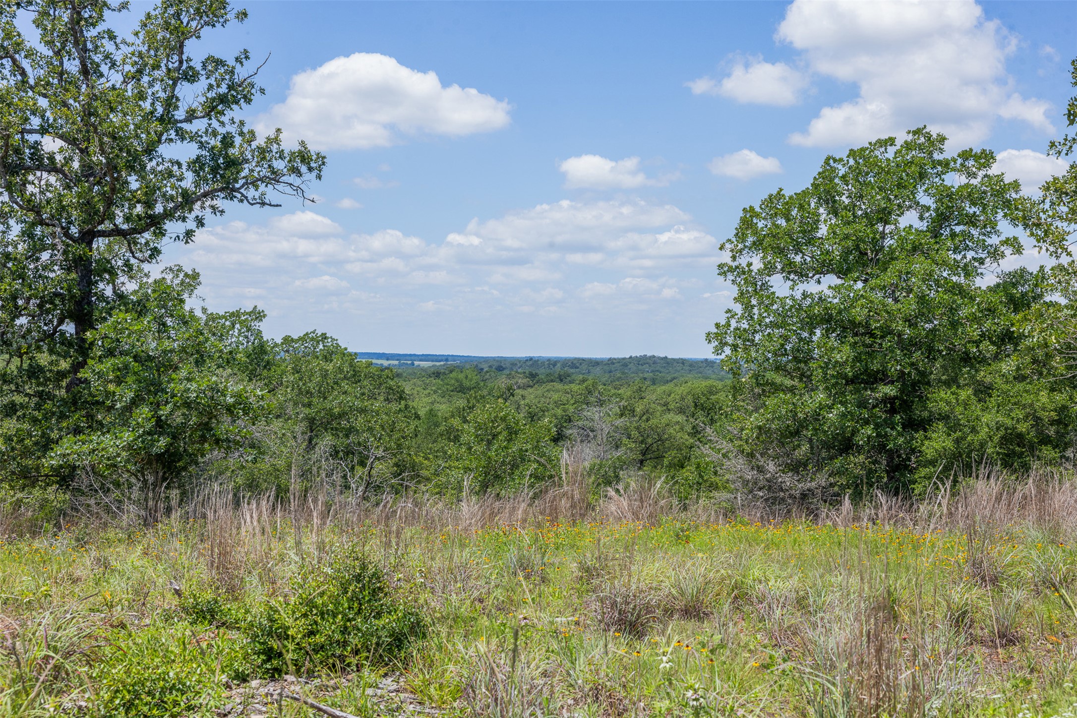 1004 22 Hills Road Gause, TX 77857 - Photo 3 of 37 A tranquil panorama of nature, with rolling hills and distant water creating a picturesque setting.