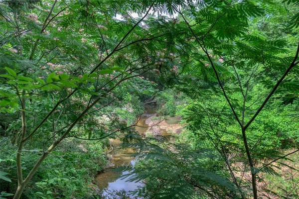 a view of a lush green forest with lots of trees