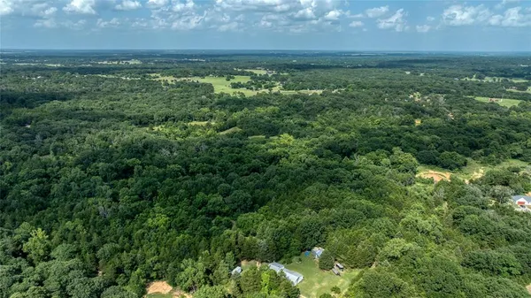 a view of a green field with lots of bushes