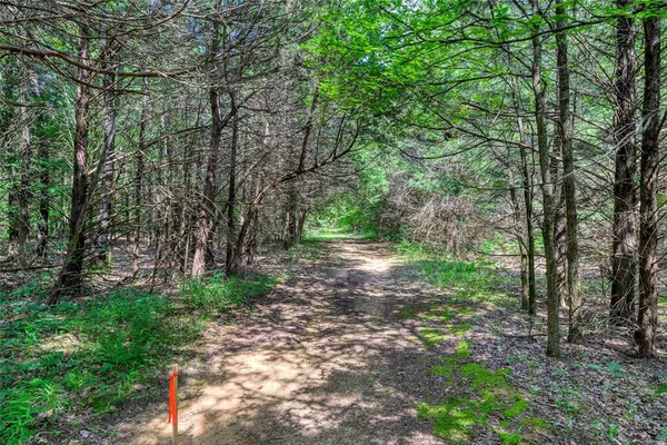 a big yard with lots of green space and trampoline