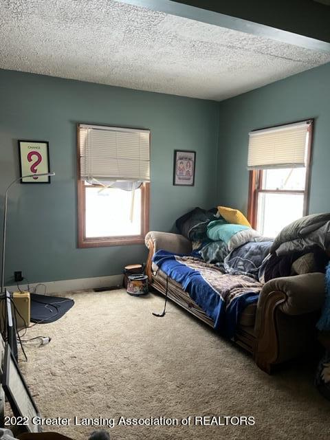 624 Reed Street Nashville, MI 49073 - Photo 6 of 20 IMG_3339