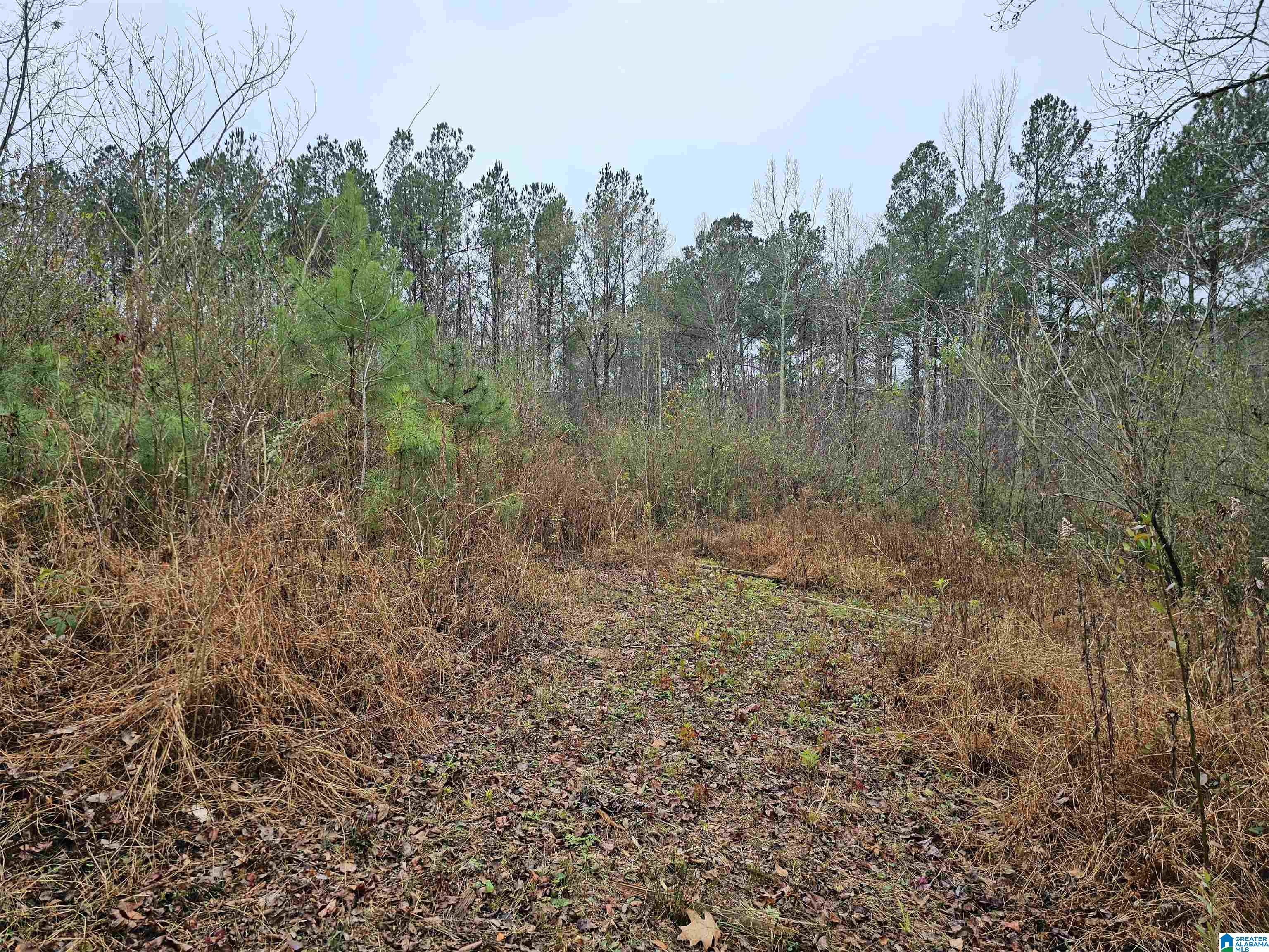 16188 Highway 46 Ranburne, AL 36273 - Photo 30 of 30 Gallery Image 30