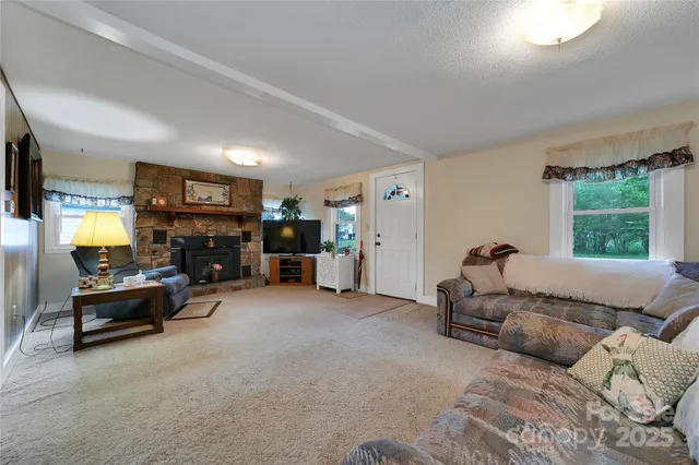 a living room with furniture window and a fireplace