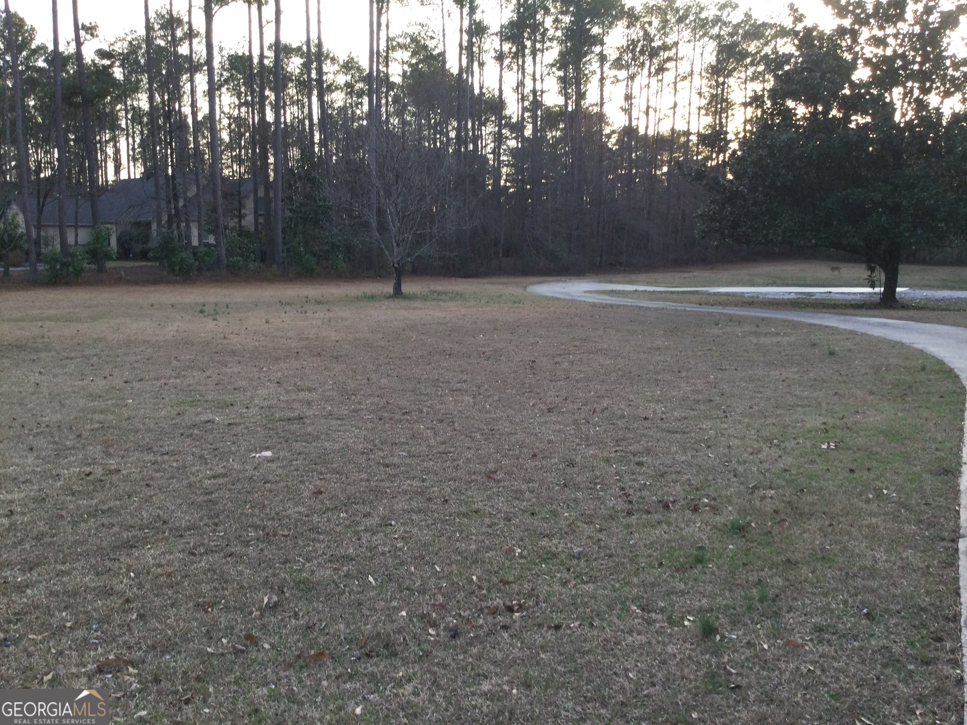 550 Ginger Cake Road Fayetteville, GA 30214 - Photo 2 of 9 a view of outdoor space with trees