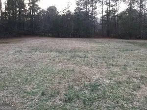 a view of a yard