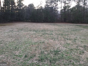 550 Ginger Cake Road Fayetteville, GA 30214 - Photo 3 of 9 a view of a yard