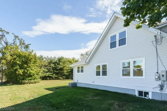 a view of a backyard with plants and large tree