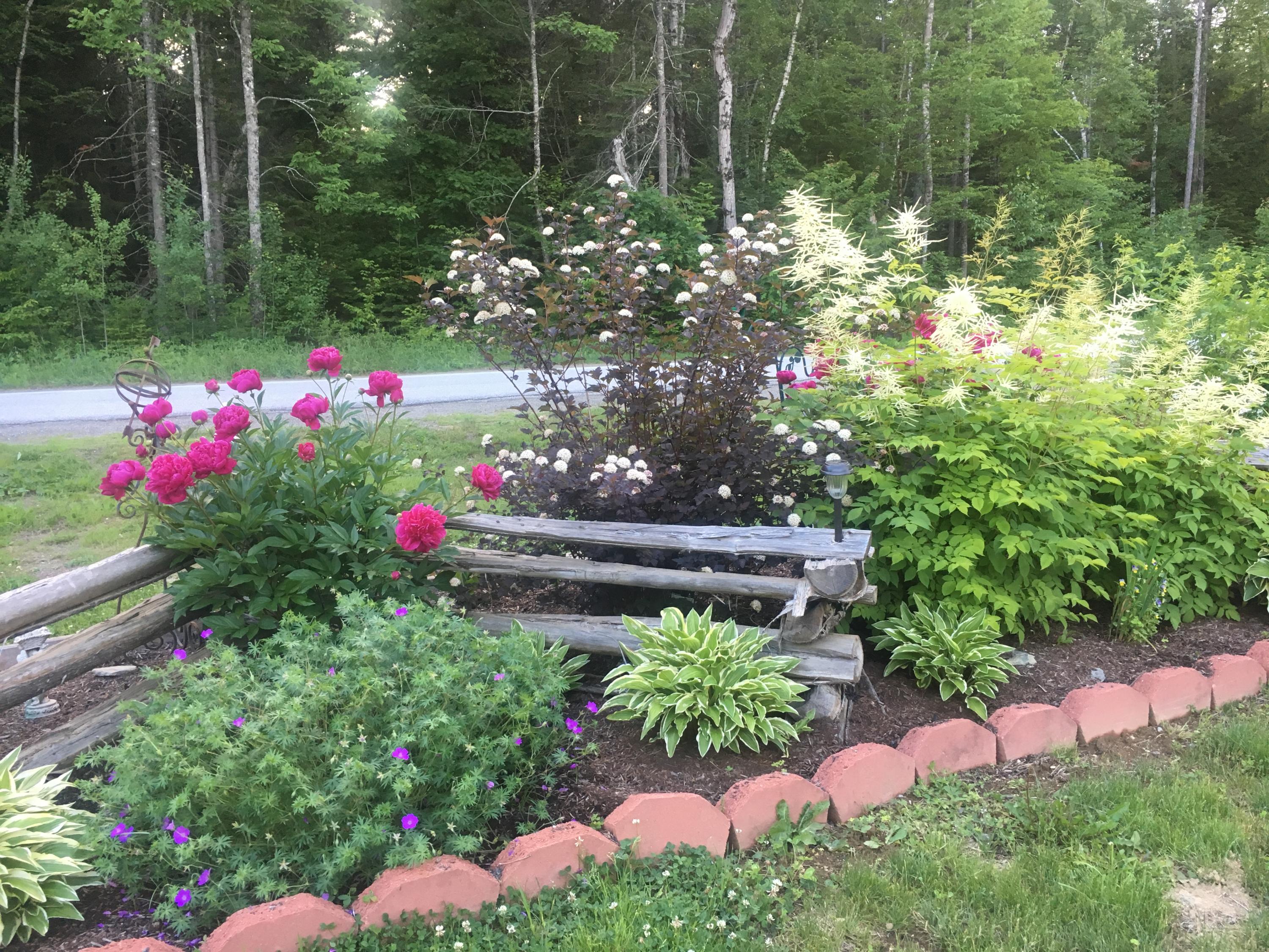 554 Cook Road Carmel, ME 04419 - Photo 29 of 34 Gardens