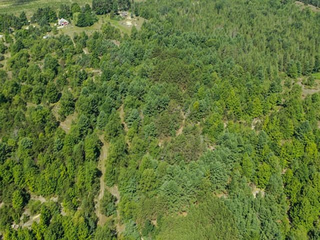 2321 Nugent Road Benzonia, MI 49616 - Photo 36 of 38 1877449-35.JPG