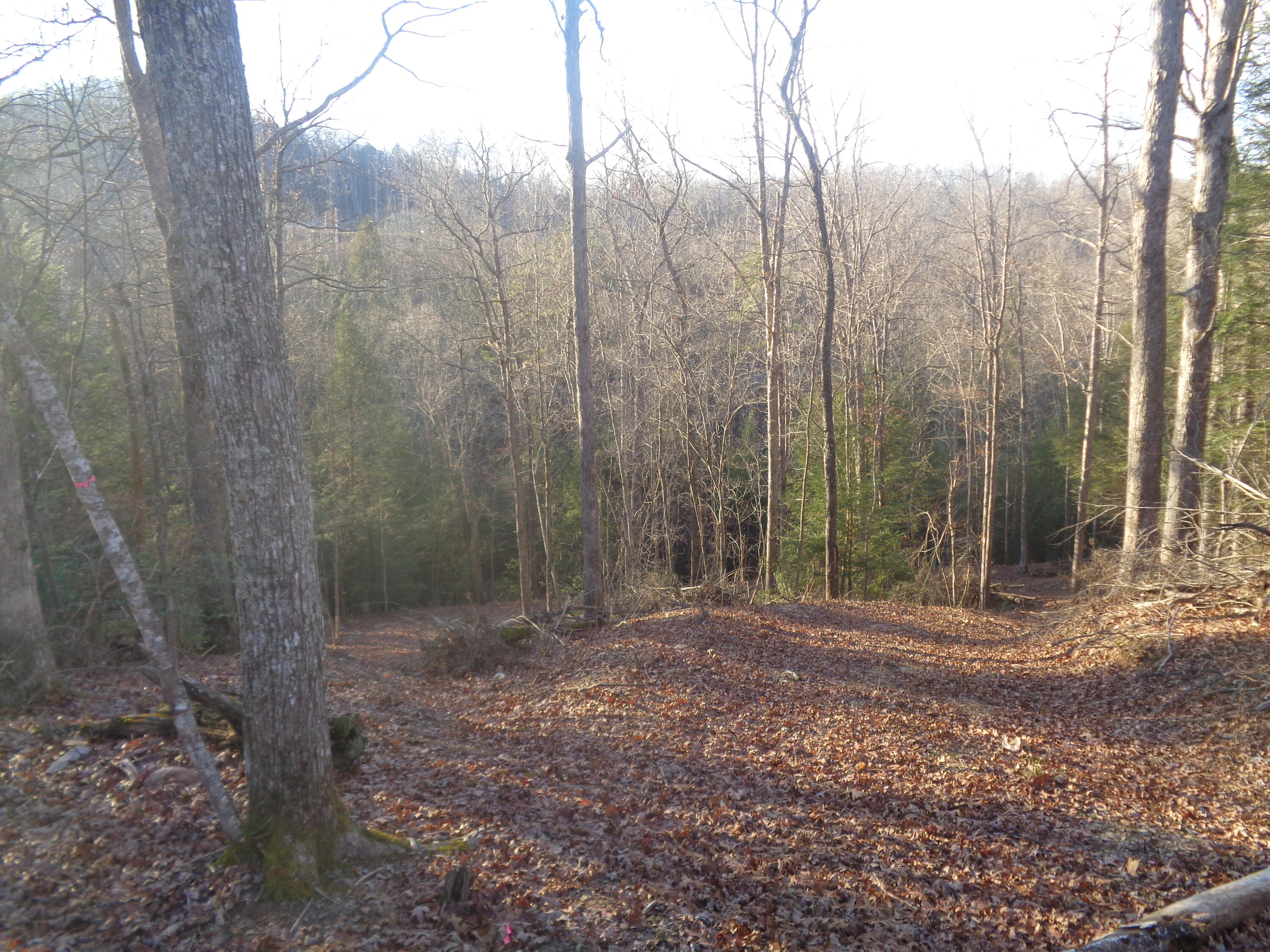 Lot 2 Fount Hubbard Road London, KY 40741 - Photo 15 of 31 DSC07491