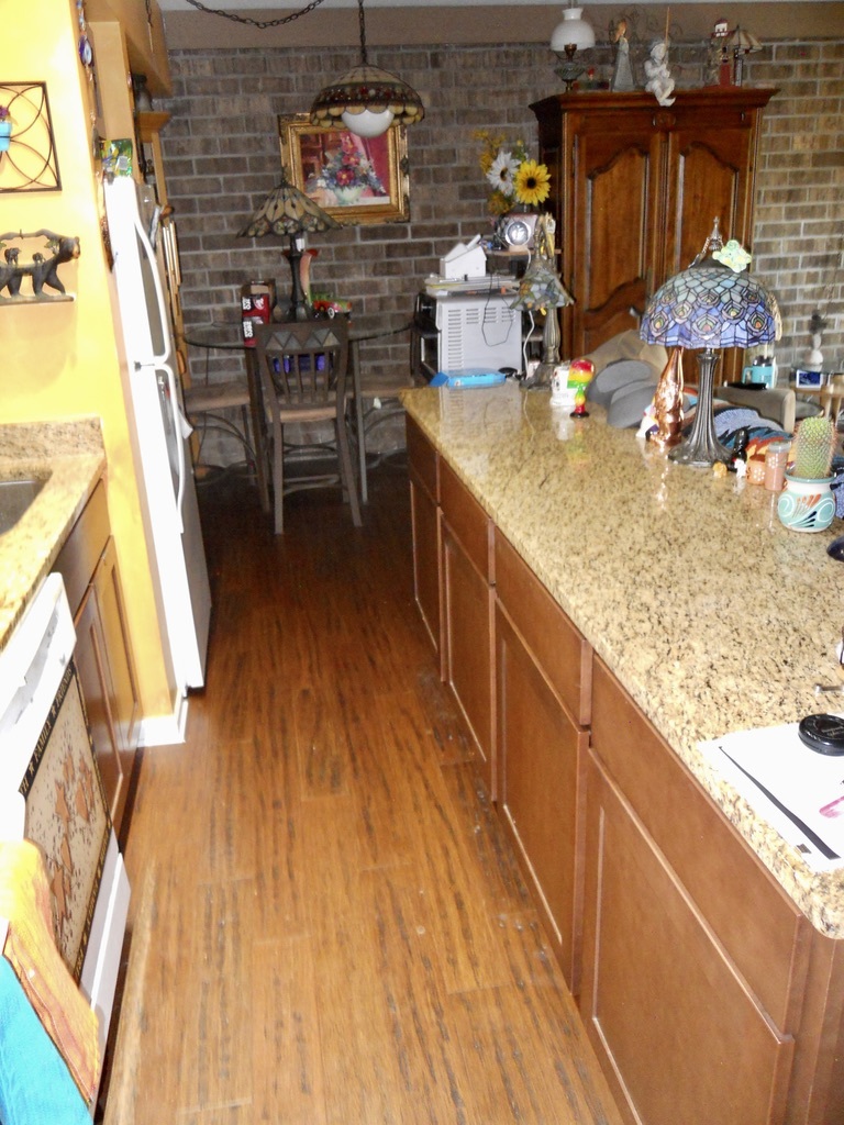 108 Kenneth Circle Elgin, IL 60120 - Photo 8 of 28