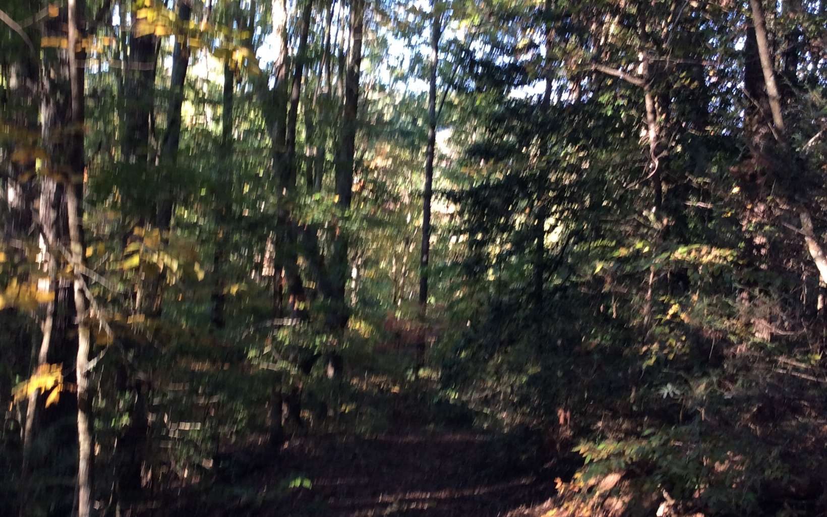 Cliff Raper Road Murphy, NC 28906 - Photo 2 of 24 Additional View