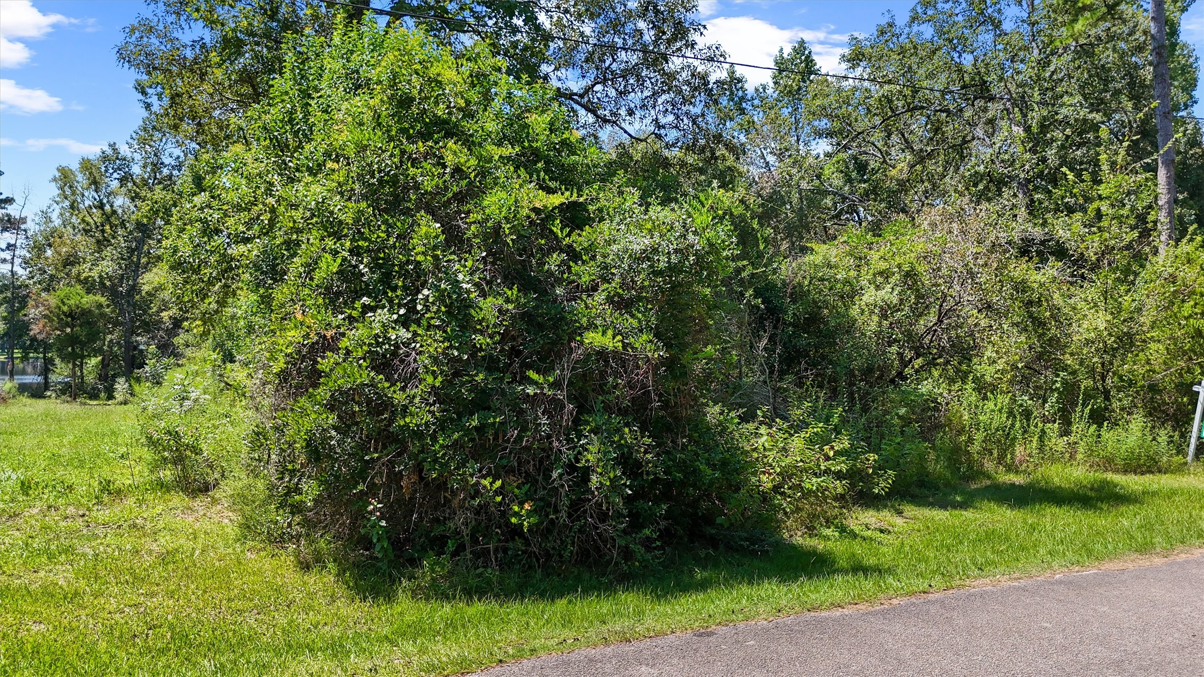3816 Sam Houston Road Houston, TX 77002 - Photo 13 of 19 a view of a yard with plants and trees