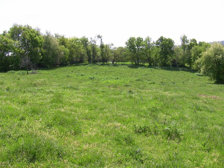 320 Cox-Howard Road Versailles, KY 40383 - Photo 9 of 12 Photo 9
