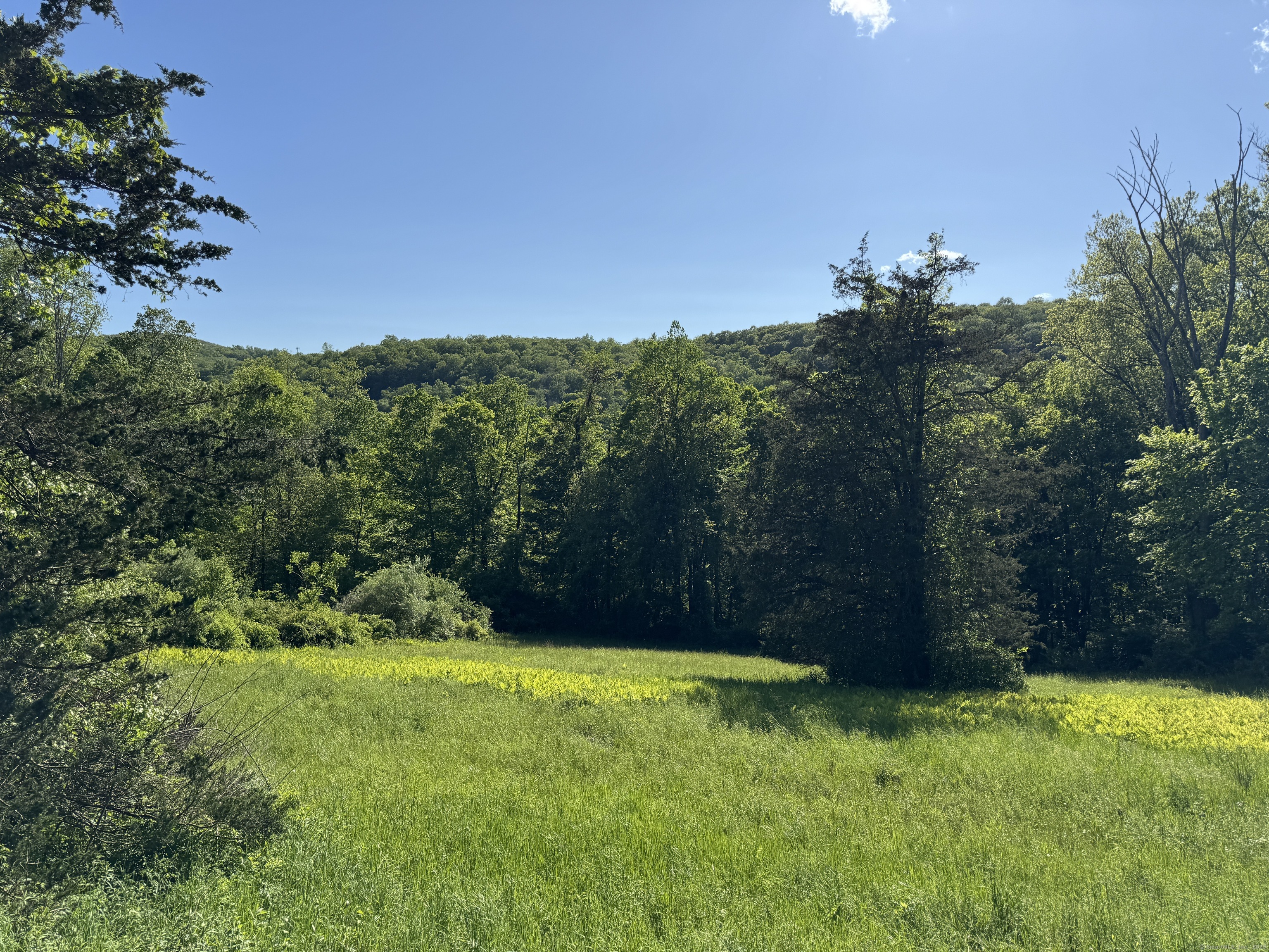 39 South State Route Sherman, CT 06784 - Photo 1 of 10 a view of a yard