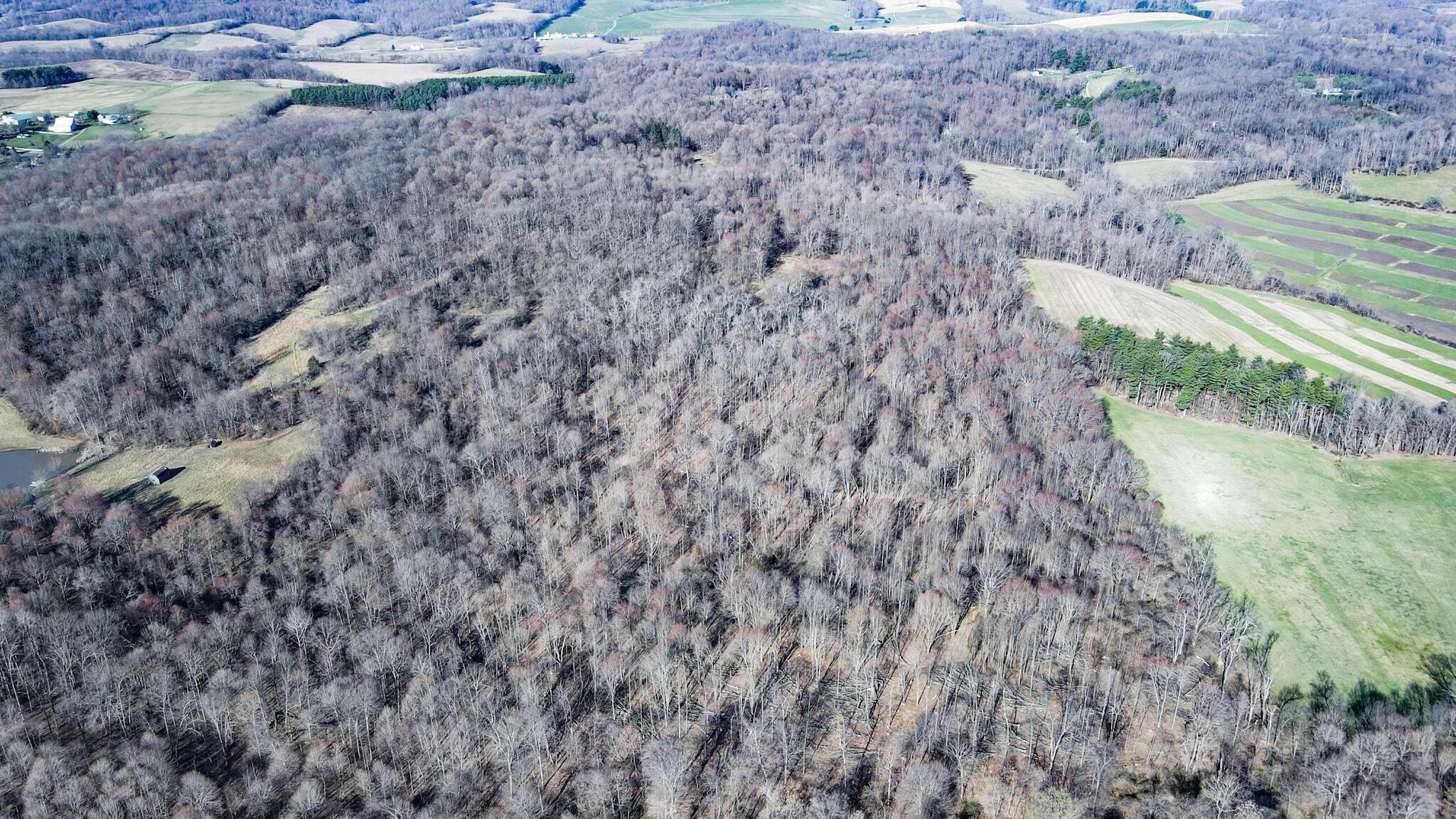 Lot 1 Mulberry Road Mount Perry, OH 43760 - Photo 30 of 31 31