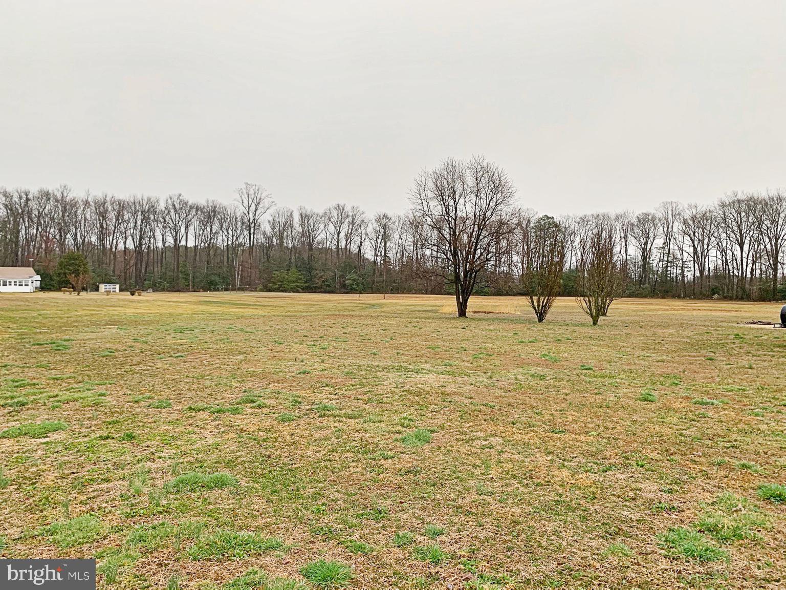 1450 Lords Corner Road Felton, DE 19943 - Photo 21 of 22 Gallery Image 21