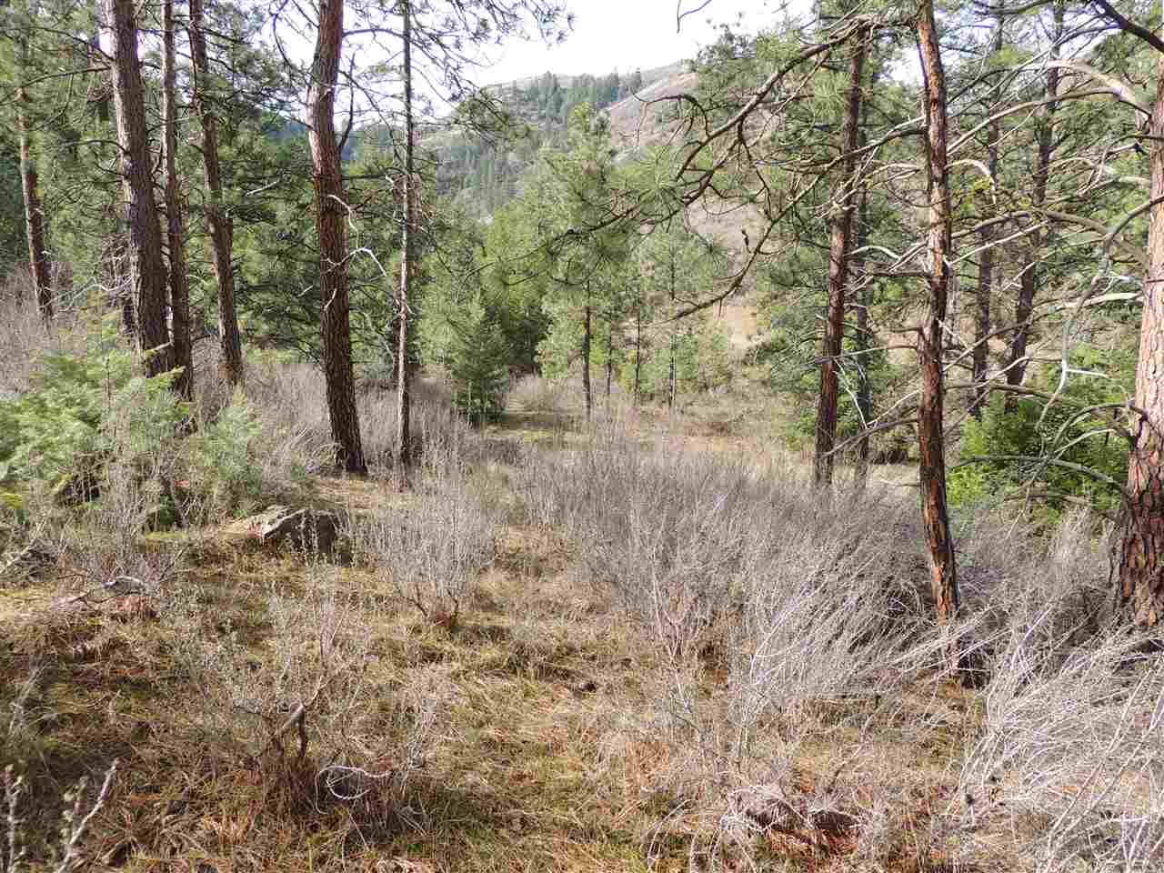 0 North Jump Canyon Road Wilbur, WA 99185 - Photo 11 of 12 Gallery Image 11