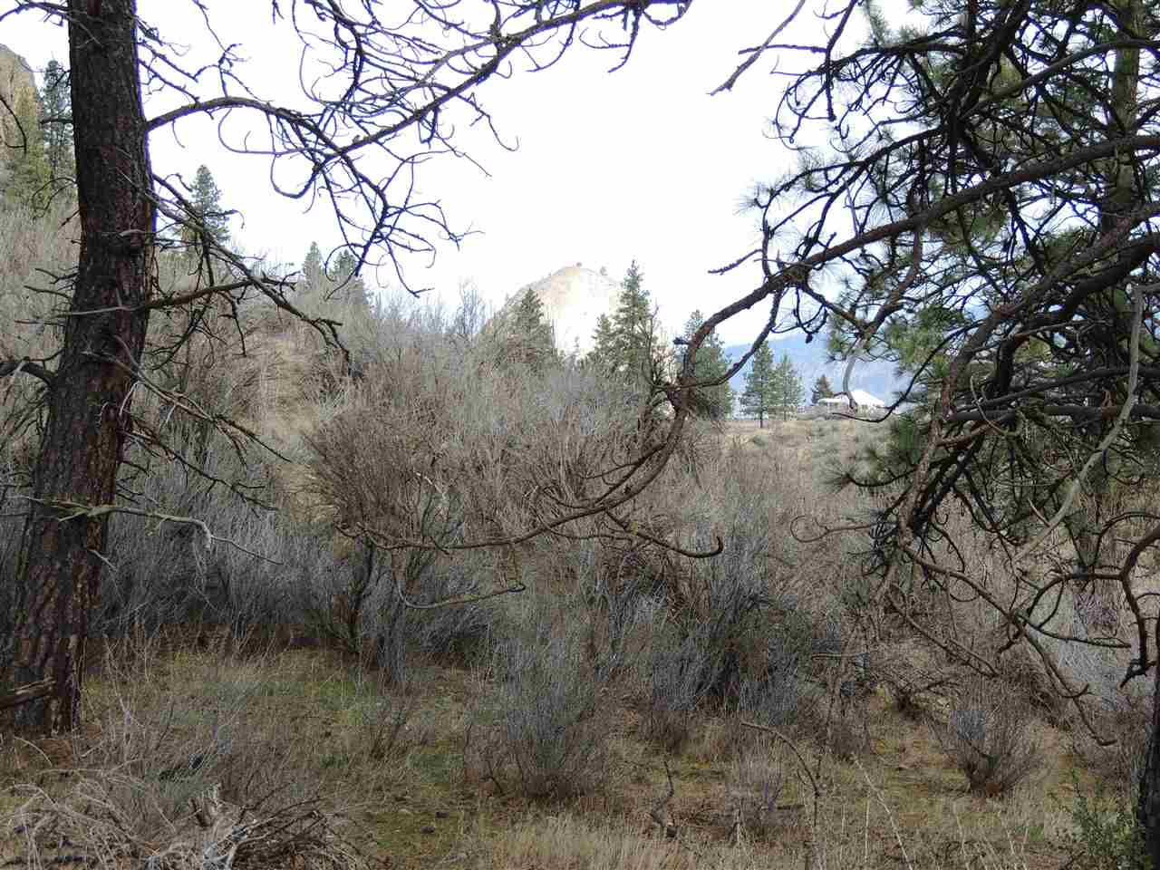 0 North Jump Canyon Road Wilbur, WA 99185 - Photo 12 of 12 Gallery Image 12