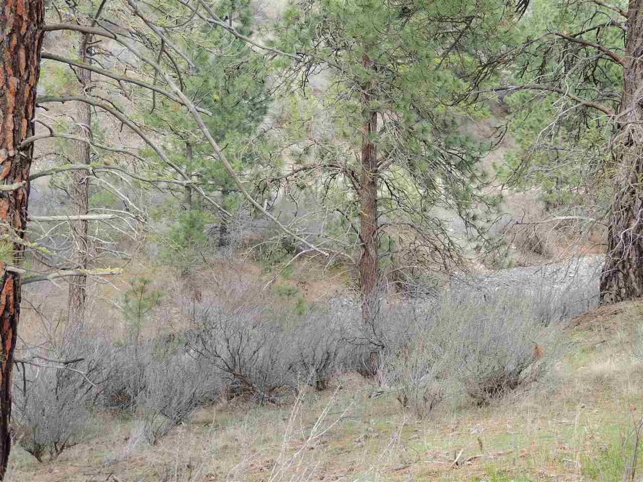 0 North Jump Canyon Road Wilbur, WA 99185 - Photo 8 of 12 Gallery Image 8
