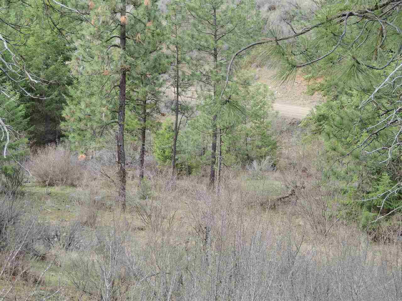 0 North Jump Canyon Road Wilbur, WA 99185 - Photo 9 of 12 Gallery Image 9