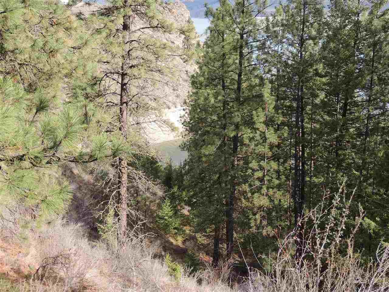 0 North Jump Canyon Road Wilbur, WA 99185 - Photo 10 of 12 Gallery Image 10