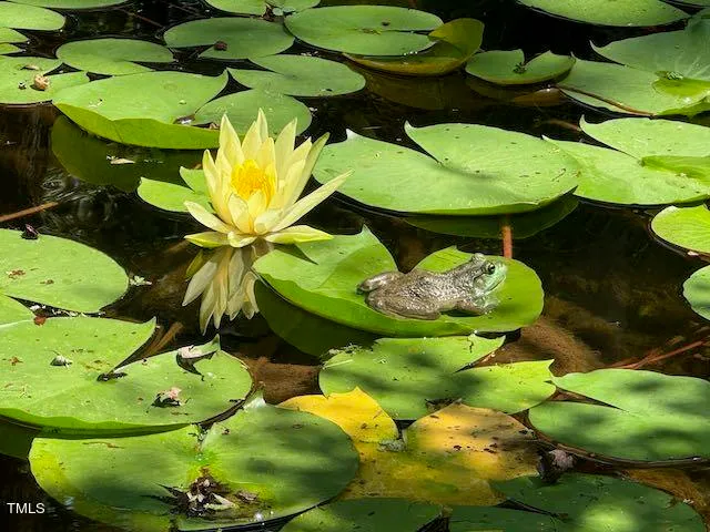 a view of a backyard of the house