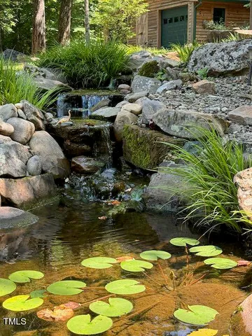 a view of a forest with trees in the background