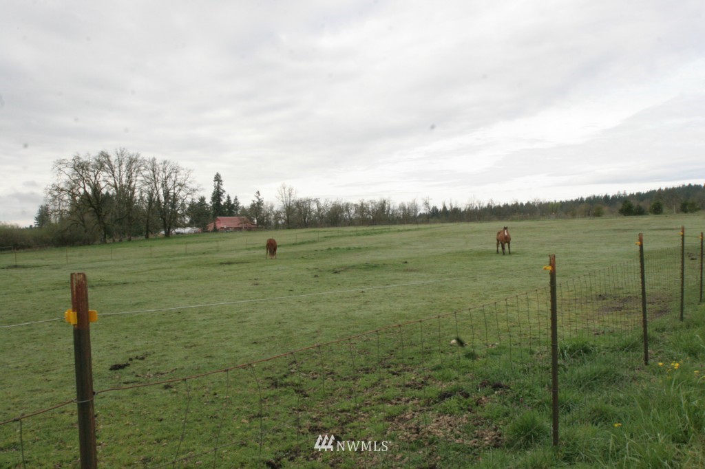 13804 Littlerock Road Southwest Rochester, WA 98579 - Photo 23 of 25