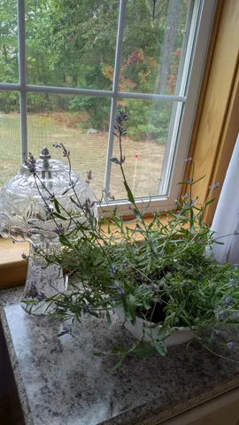 $575,000 | 15 Promised Land Drive, Brownfield, ME 04010