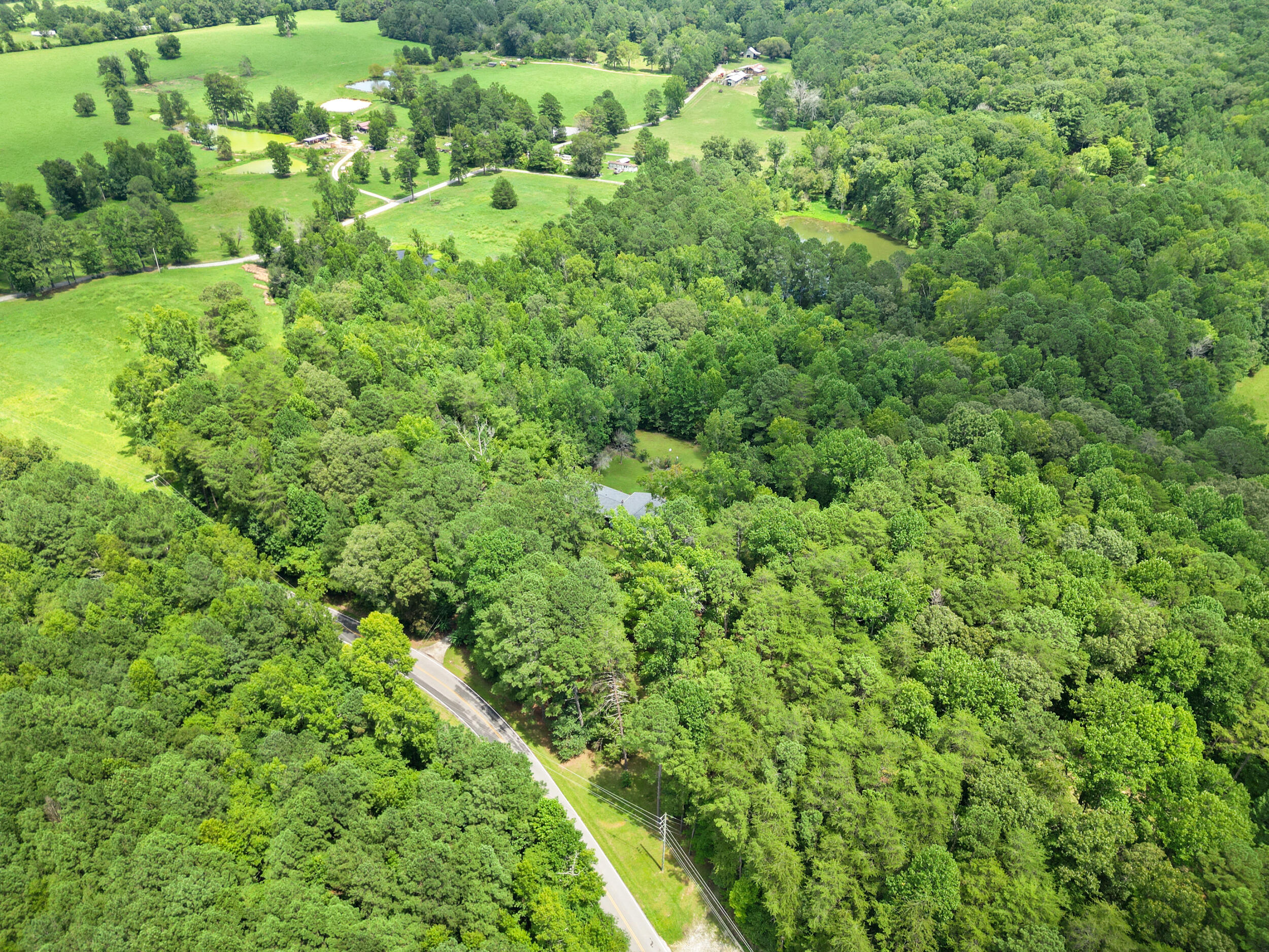 1781 Halls Valley Road Trion, GA 30753 - Photo 12 of 49 8_dji_0787