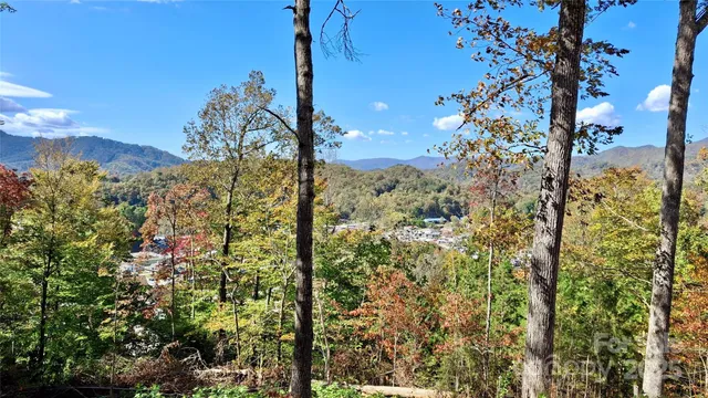 a view of a yard with a tree