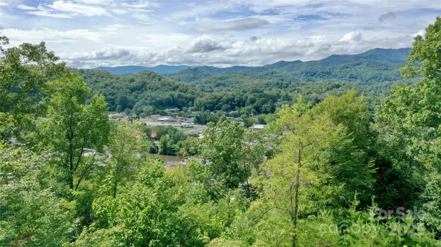 a view of backyard with green space