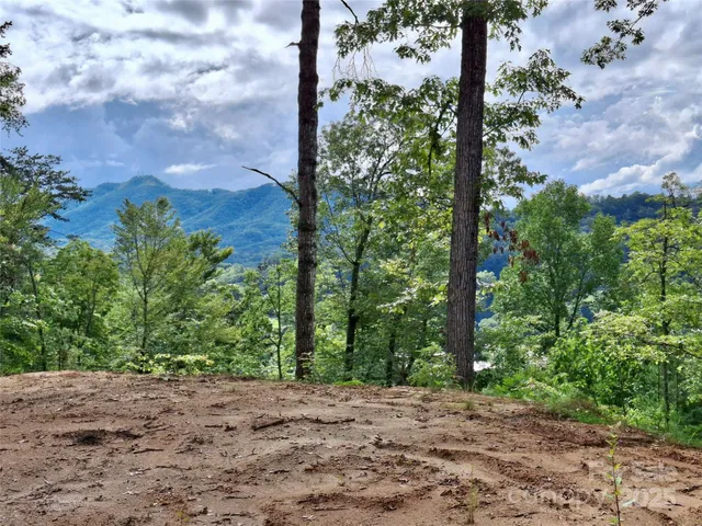 a view of a yard with plants and a small yard
