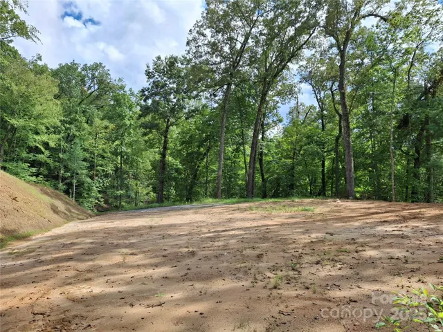 a view of a city with lush green forest