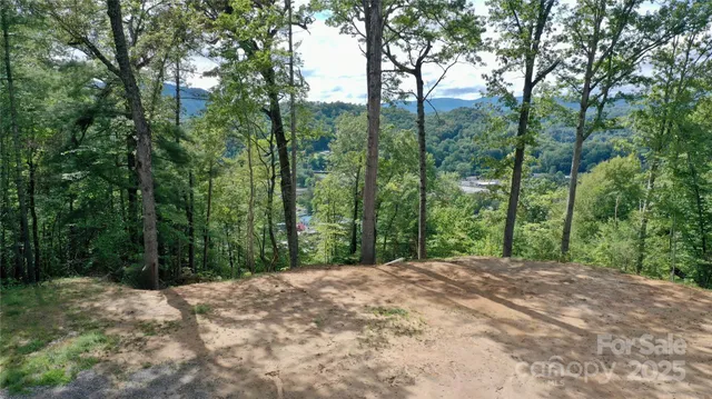 a view of a backyard of a house with a mountain