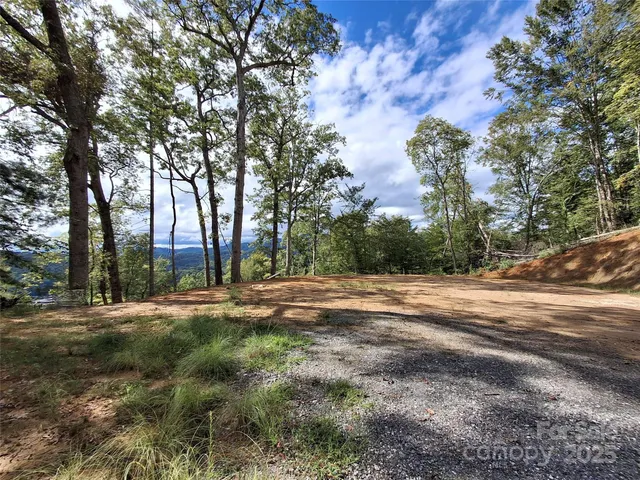 a view of a bunch of flowers and trees