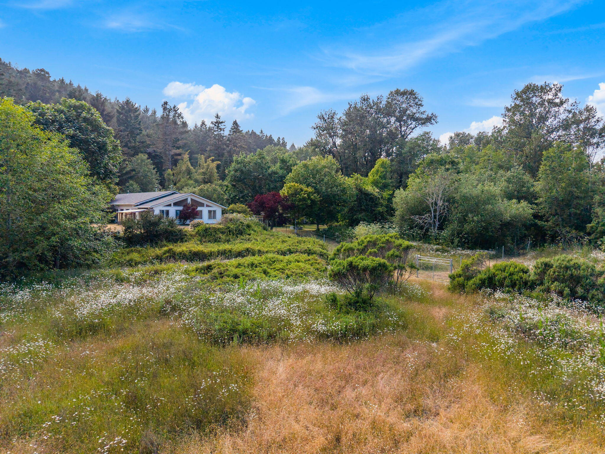 1035 Warren Creek Road Arcata, CA 95521 - Photo 7 of 61