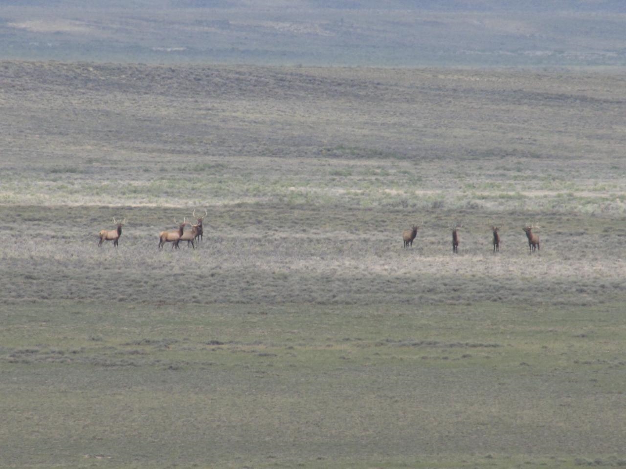Shamrock Road Rawlins, WY 82301 - Photo 24 of 30