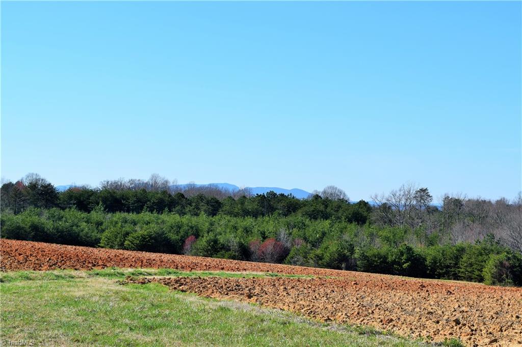 40-ac Eden Church Road Madison, NC 27025 - Photo 1 of 25 Beautiful mountain view