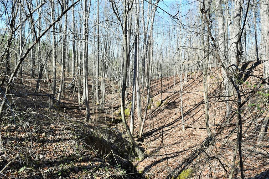 40-ac Eden Church Road Madison, NC 27025 - Photo 11 of 25 Some of lot wooded