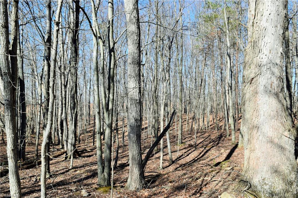 40-ac Eden Church Road Madison, NC 27025 - Photo 12 of 25 Partially undeveloped