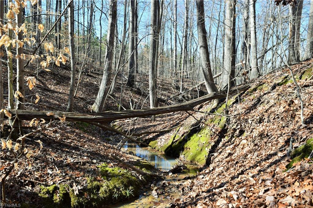 40-ac Eden Church Road Madison, NC 27025 - Photo 15 of 25 Small winding creek