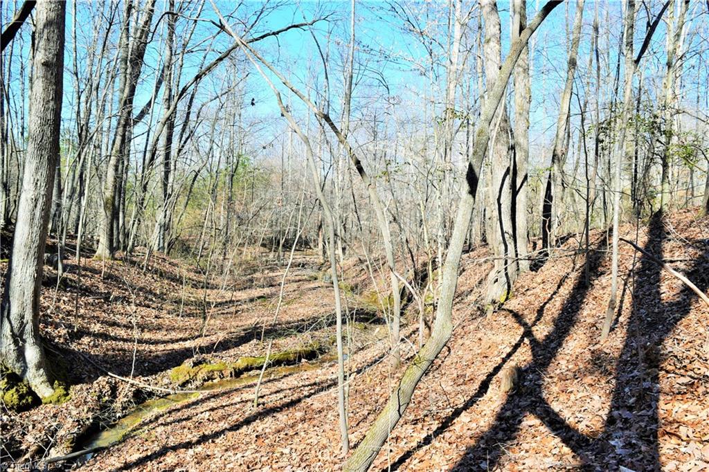 40-ac Eden Church Road Madison, NC 27025 - Photo 16 of 25 Small creek