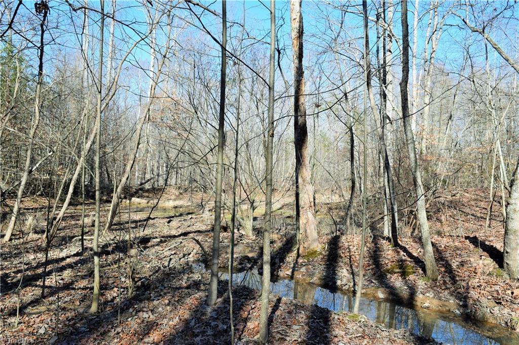 40-ac Eden Church Road Madison, NC 27025 - Photo 17 of 25 Additional creek view