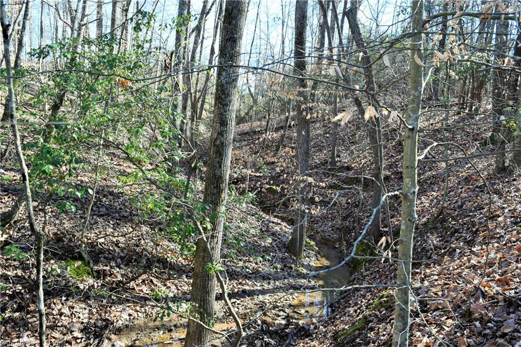 40-ac Eden Church Road Madison, NC 27025 - Photo 18 of 25 Creek runs through property