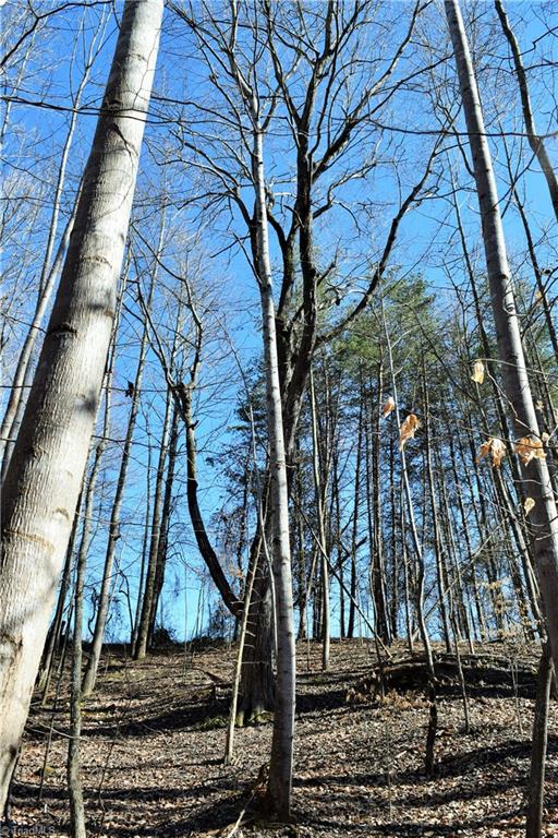 40-ac Eden Church Road Madison, NC 27025 - Photo 20 of 25 Tree tops